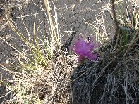 Grotta_tre_livelli - 20100912 006.jpg